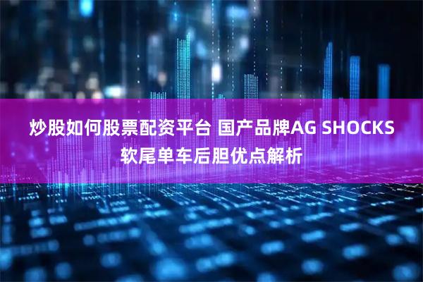 炒股如何股票配资平台 国产品牌AG SHOCKS软尾单车后胆优点解析
