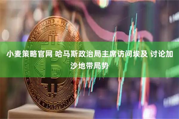 小麦策略官网 哈马斯政治局主席访问埃及 讨论加沙地带局势