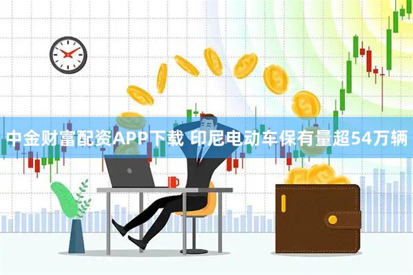 中金财富配资APP下载 印尼电动车保有量超54万辆